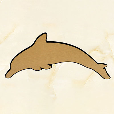 Applicazione articolo DELFINO BR