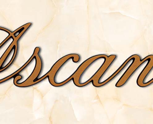 articolo-19-ascanio-scritta-in-bronzo