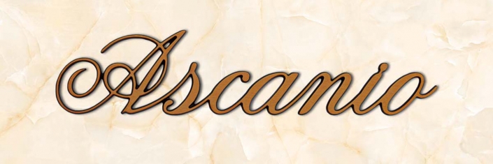 articolo-19-ascanio-scritta-in-bronzo