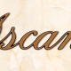 articolo-19-ascanio-scritta-in-bronzo