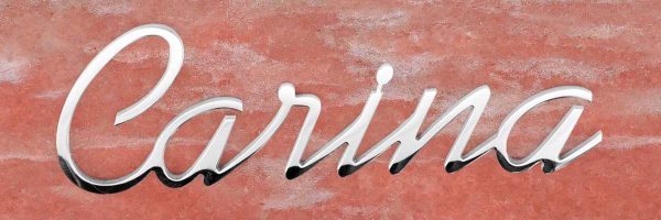 articolo-20-carina-scritta-in-acciaio-inox