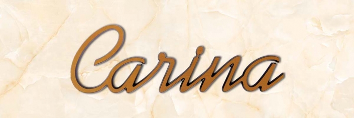 rticolo-20-carina-scritta-in-bronzo