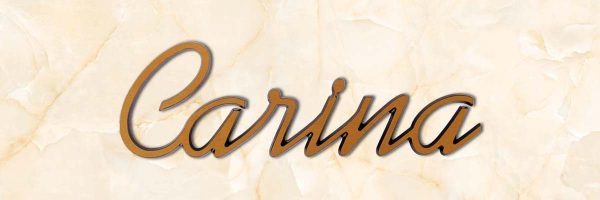 rticolo-20-carina-scritta-in-bronzo