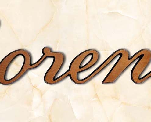 articolo-23-lorenza-scritta-in-bronzo