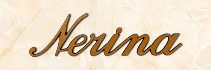 articolo-33-nerina-scritta-in-bronzo