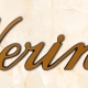 articolo-33-nerina-scritta-in-bronzo
