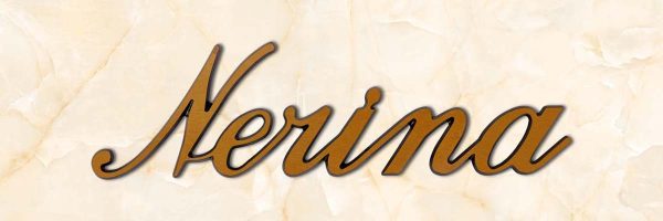 articolo-33-nerina-scritta-in-bronzo