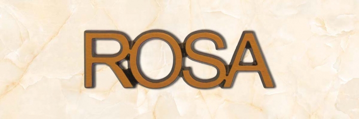 articolo-45-rosa-scritta-in-bronzo