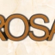articolo-45-rosa-scritta-in-bronzo