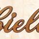 articolo-46-cielo-scritta-in-bronzo