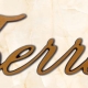 articolo-47-terra-scritta-in-bronzo