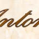 articolo-48-antonio-scritta-in-bronzo