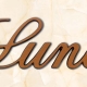 articolo-53-luna-scritta-in-bronzo