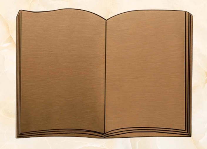 articolo-L1-BR-libro in bronzo