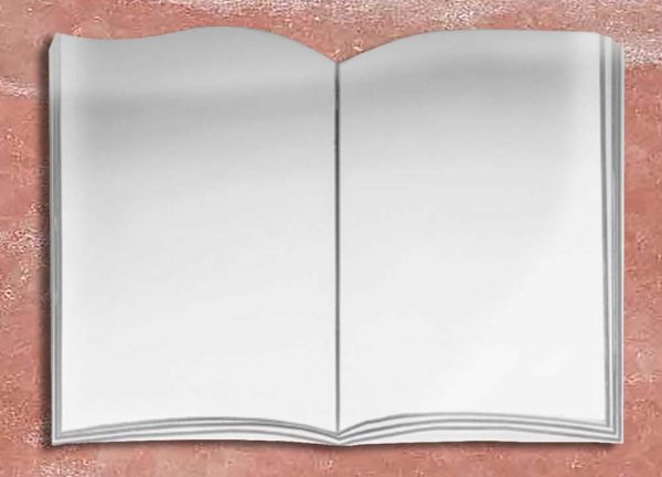 articolo-L1-IN-libro in acciaio inox