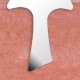 Applicazione articolo ANCORA IN